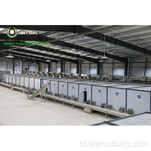 Topkwaliteit van Yunnan Walnut Kernels Light Quarters